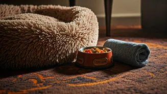 Hotels Are Designing Comfort For Furry Guests