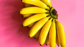 Bananas Can Support A Quick Snack Without A Timing Formula