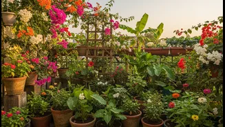 Balcony Gardening Becomes Easier When Seasonal Changes Are Expected