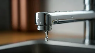 5 Hidden Kitchen Germ Hotspots: An NYC Doc's Guide to a Truly Clean Kitchen