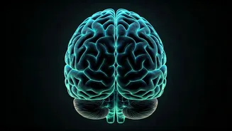 5 Habits for a Sharper Mind & Better Memory