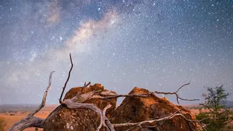 A Beginner's Guide To Stargazing In October With Minimal Equipment