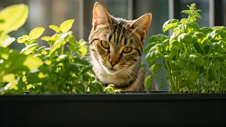 How Urban Farming Benefits Mental Health Of Furry Family Members