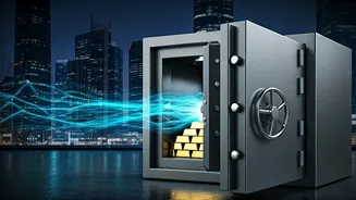 Virat Kohli's Wealth: A 2025 Financial Overview