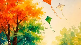 Why People Who Fly Kites Often Move More Than They Expect