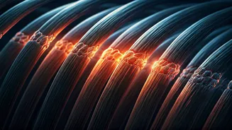 Why Everyone Is Talking About Bond Repair