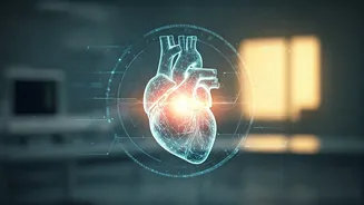 Related Stories banner