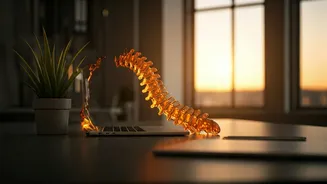 Beat Sedentary Workplace Fatigue Practicing Sunset Spinal Decompression Regularly