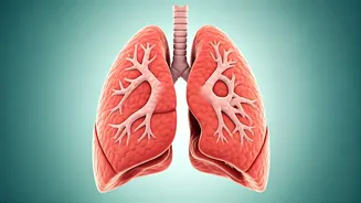 Breathe Easy: Unmasking 5 Common Breathing Myths