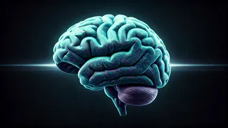 Unlock Your Potential: 8 Proven Strategies to Reshape Your Brain for a Higher State of Being