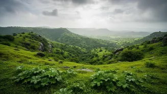 What Rajasthan's Current Monsoon Travel Surge Reveals About Seasonal Landscapes Behind The Current Booking Rush