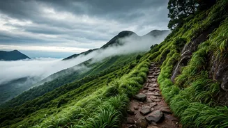 Conquer Western Ghats Misty Mountain Trails Before Monsoon Crowds Inundate
