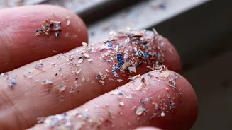 Microplásticos podem estar contribuindo para as mudanças climáticas