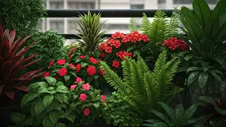 Balcony Gardening? These Monsoon Plants Are Perfect