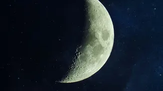 Moon's Ancient Surface Faces A Modern Impact With Scientific Interest