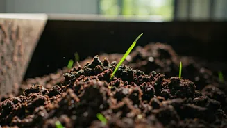 Composting Is The Sustainability Hack Cities Need