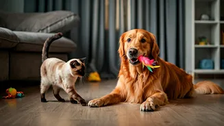 Rain Outside? Keep Your Pet Busy Inside