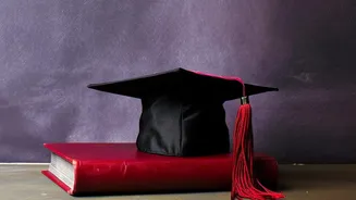 Postgraduate scholars utilize AI citation engines to guarantee source credibility in final papers