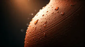 Ancient Indian Terracotta: 3000-Year-Old Cooling Secrets to Beat the Heat Naturally