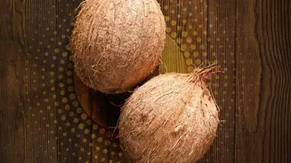 Agricultural Straw And Coconut Husk Replace Plastic Foam In Acoustic Studio Panels