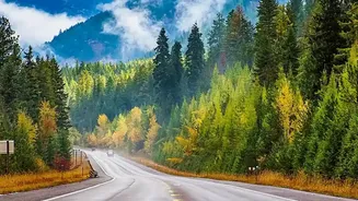 Rainy-Season Road Trips: How To Make A Safer Travel Plan