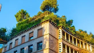 Monsoon-Friendly Plants Are Helping Apartment Balconies Stay Lush Through Humid Weather