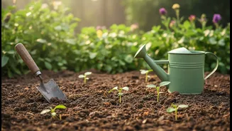 Why a Practical Reader Checklist Is Needed for Bengaluru's Rain-Fed Planting Window