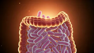 Improve Gut Health: 5 Habits Boost Longevity