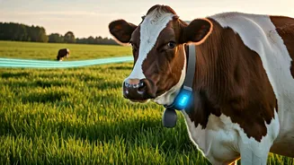 AI-Powered Herds: How a $2 Billion Startup Revolutionizes Farming with Virtual Fences and Smart Collars
