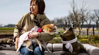 How Pet Parents Can Use Calming Wraps And Sound Therapy In Storms