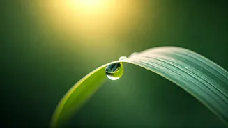 Discover Inner Bliss: Mata Amritanandamayi's Wisdom on True Happiness