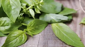 Why you should combine basil and cloves in your drinks