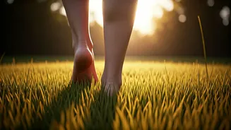 Low-Intensity Movement Still Counts In Summer