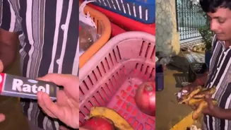 Mumbai Fruit Sellers Caught on Camera Rubbing Rat Poison on Fruits, Arrested