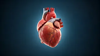 Just 5 Minutes of Exercise Boosts Heart Health