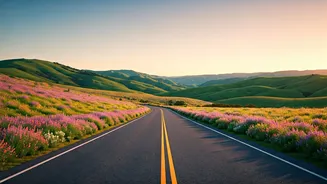Flower-Season Trips Are Built For Soft Adventures