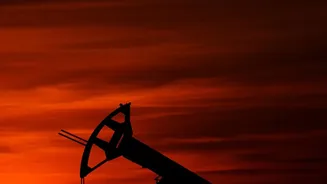 How Global Crude Prices And US Bond Yields Are Affecting Foreign Bets On India