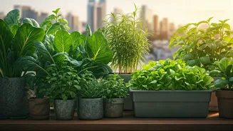 Why The Terrace Gardening Revolution Exploded On Modern Lifestyle Feeds