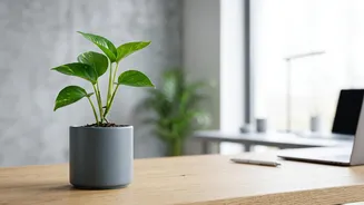 Boost savings with the 30-day rule