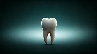 Related Stories banner