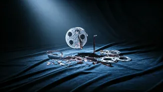 Border 2's Release: Bans and Controversies Explored