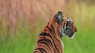 IRCTC launches wildlife tours from Mumbai
