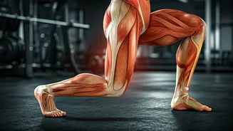 Build Deep Knee Stability With Slow Controlled Reverse Lunge Exercises