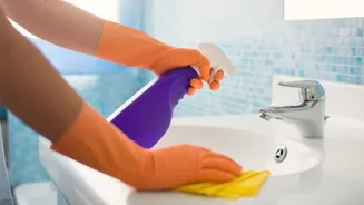 Monsoon bathroom cleaning: Easy tips to remove mould and keep damp smells at bay