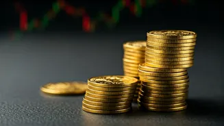 Smart Investment Insights: Tools & Ideas for Savvy Investing