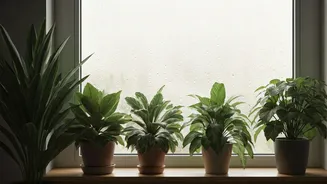 Fresh-Smelling Homes Start With Moisture Control