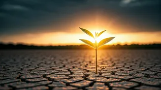 Embrace Challenges: Swami Vivekananda's Wisdom on Parenting Through Growth, Not Ease