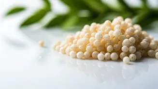 Unlock Radiant Skin: The Sabudana Skincare Revolution for a Natural Glow