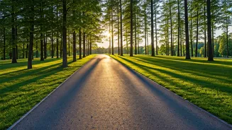 Walking for Wellness: Your Pace & Calorie Burn