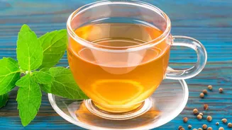 Peppermint Tea Compresses For Tension Headaches: Why the Cause of Head Pain Still Matters